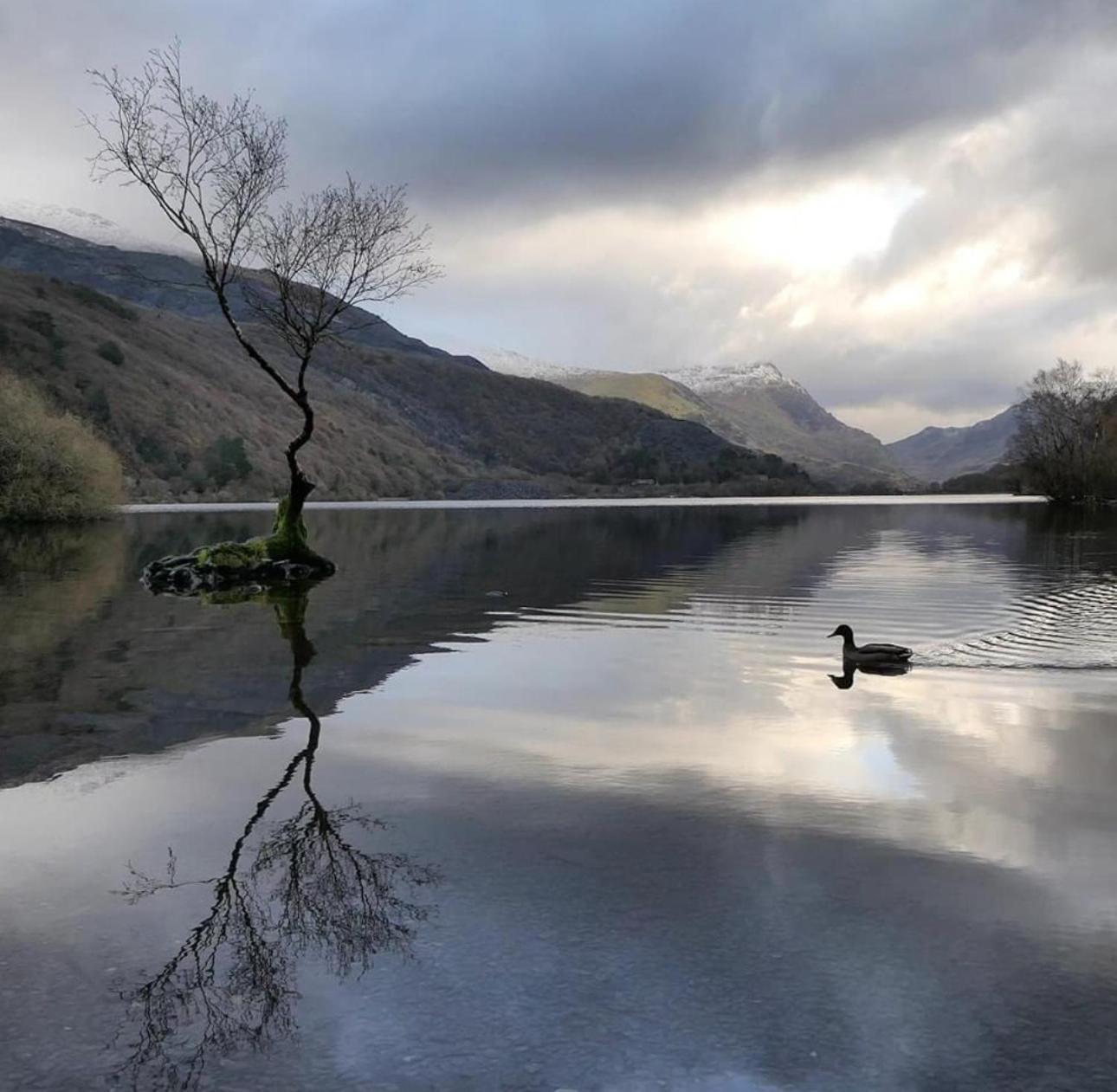 Cosy 2 Bedroom Cottage In Betws Y Coed, Snowdonia المظهر الخارجي الصورة